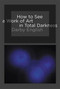 How to See a Work of Art in Total Darkness by Darby English, 9780262514934