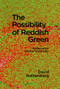 The Possibility of Reddish Green (Wittgenstein outside Philosophy) by David Rothenberg, 9781949597073