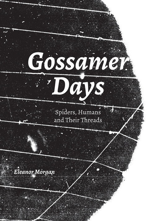 Gossamer Days (Spiders, Humans and Their Threads) by Eleanor Morgan, 9781907222351