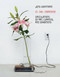 In the Meantime (Speculations on Art, Curating, and Exhibitions) by Jens Hoffmann, 9783956794919