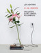 In the Meantime (Speculations on Art, Curating, and Exhibitions) by Jens Hoffmann, 9783956794919