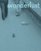 Wanderlust (Actions, Traces, Journeys 1967-2017) by Rachel Adams, 9780262037051