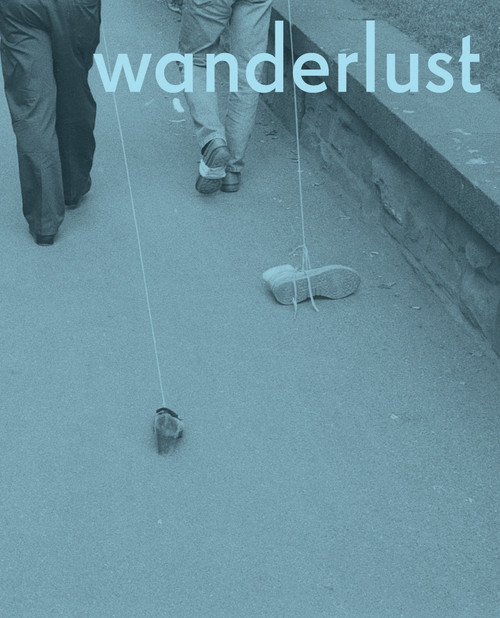 Wanderlust (Actions, Traces, Journeys 1967-2017) by Rachel Adams, 9780262037051