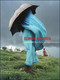 Climate Refugees by Collectif Argos, Hubert Reeves, 9780262514392