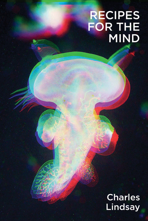 Recipes for the Mind by Charles Lindsay Jr., 9781949597066