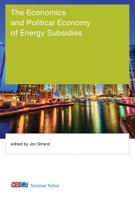 The Economics and Political Economy of Energy Subsidies by Jon Strand, 9780262034647