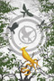 Ballad of Songbirds and Snakes Blank Writing Journal (Hunger Games) by Scholastic, 9781338680072
