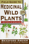 Field Guide to Medicinal Wild Plants by Bradford Angier, David K. Foster, 9780811734936