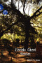 Florida Ghost Stories by Robert R Jones, 9781561644117