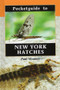 Pocketguide to New York Hatches (Miniature Edition) by Paul Weamer, 9780811731706