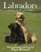 Labradors - 9780811704946 by Nick Ridley, 9780811704946