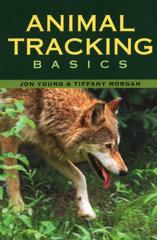 Animal Tracking Basics by Tiffany Morgan, Jon Young, 9780811733267