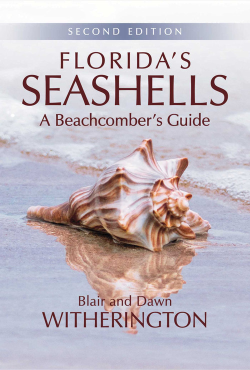 Florida's Seashells (A Beachcomber's Guide) by Blair Witherington, 9781561649822