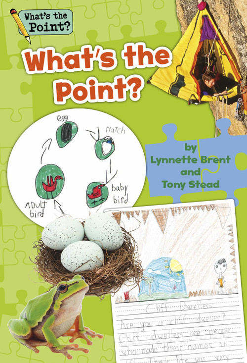 What's the Point? Grade 1 Big Book by Capstone Classroom, Lynnette Brent, Tony Stead, 9781496607690