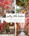 Pretty Little London (A Seasonal Guide to the City's Most Instagrammable Places) by Sara Santini, Andrea Di Filippo, 9780711257610
