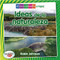 Ideas de la naturaleza (Ideas from Nature) by Robin Johnson, Pablo de la Vega, 9780778783398