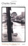 Walking the Black Cat by Charles Simic, 9780156004817