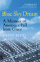 Blue Sky Dream (A Memoir of AMERICAN (AMERI)ca's Fall from Grace) by David Beers, 9780156005319