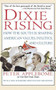 Dixie Rising (How the South Is Shaping American Values, Politics, and Culture) by Peter Applebome, 9780156005500