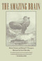 The Amazing Brain by Robert Ornstein, Richard Thompson, 9780395585726