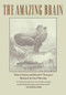 The Amazing Brain by Robert Ornstein, Richard Thompson, 9780395585726
