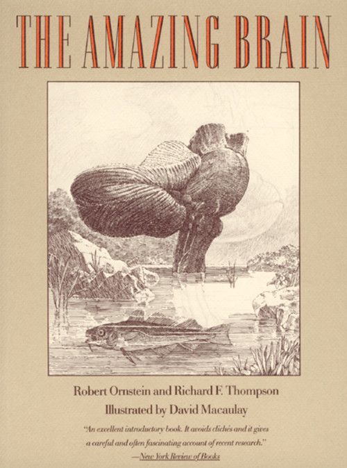 The Amazing Brain by Robert Ornstein, Richard Thompson, 9780395585726