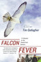 Falcon Fever (A Falconer in the Twenty-first Century) by Tim Gallagher, 9780547237794