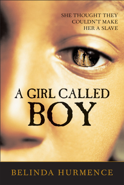 A Girl Called Boy by Belinda Hurmence, 9780618689255