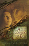A Coming Evil by Vivian Vande Velde, Vivian Vande Velde, 9780618747818