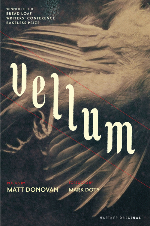Vellum by Matt Donovan, 9780618822126