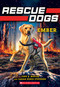 Ember (Rescue Dogs #1) by Jane B. Mason, Sarah Hines-Stephens, 9781338362022