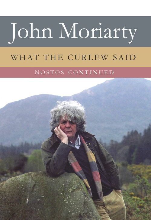 What The Curlew Said ("Nostos" Continued) by John Moriarty, 9781843511243