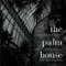 The Palm House by Amelia Stein, John Banville, Brendan Sayers, 9781843511823