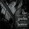 The Palm House by Amelia Stein, John Banville, Brendan Sayers, 9781843511823