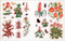 The Botanist's Sticker Anthology (With More Than 1,000 Vintage Stickers) by DK, 9780744036725