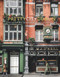 prettycitydublin (Discovering Dublin's Beautiful Places) by Siobhan Ferguson, 9780750990714