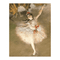 Degas Dancers Keepsake Boxed Notecards, 9780735329232