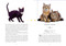 Paperscapes: The Cat (A Book That Transforms Into a Work of Art) by Jennifer Pulling, 9780233005829
