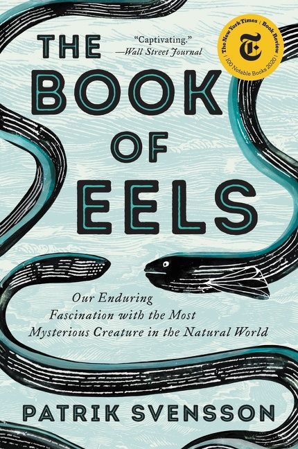 The Book of Eels (Our Enduring Fascination with the Most Mysterious Creature in the Natural World) - 9780062968821 by Patrik Svensson, 9780062968821