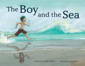 The Boy and the Sea by Camille Andros, Amy June Bates, 9781419749407