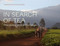 In Search of Tea (Discovery and Knowledge) by François-Xavier Delmas, 9781419751813