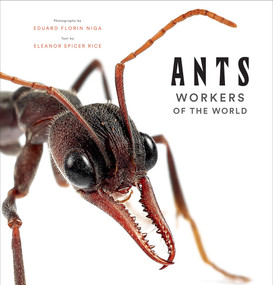 Ants (Workers of the World) by Eleanor Spicer Rice, Eduard Florin Niga, 9781419748493