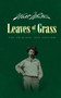 Leaves of Grass by Walt Whitman, 9780486841915
