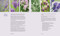 Lavender (50 Self-Care Recipes and Projects for Natural Wellness) by Bonnie Louise Gillis, 9781632173492