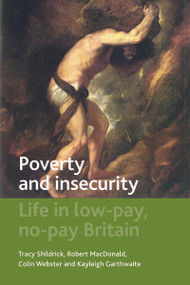 Poverty and Insecurity (Life in Low-Pay, No-Pay Britain) by Tracy Shildrick, Robert MacDonald, Colin Webster, Kayleigh Garthwaite, 9781847429100
