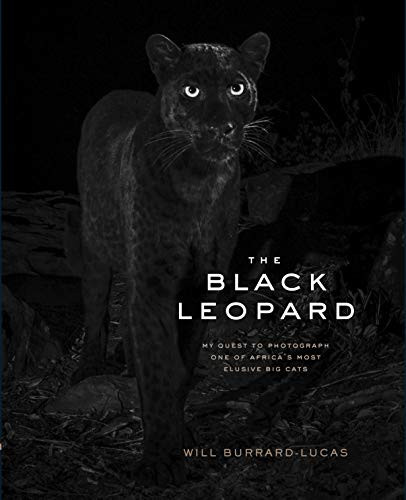 The Black Leopard (My Quest to Photograph One of Africa's Most Elusive Big Cats) by Will Burrard-Lucas, 9781797202914