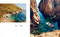 Coastlines (At the Water's Edge) by Emily Nathan, 9781984858344