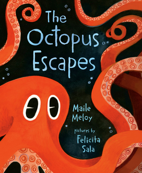 The Octopus Escapes by Maile Meloy, Felicita Sala, 9781984812698