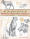 The Artist's Guide to Drawing Realistic Animals by Doug Lindstrand, 9781581807288