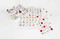 Cat Bingo by Marcel George, 9781780679037